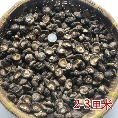 西峡香菇干货500g产地直发冬厚菇薄菇香信批发散装香菇干剪角新货图2
