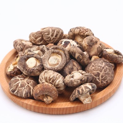新货2-3-5cm花菇干货500g 西峡香菇干食用菌椴木蘑菇批发图2