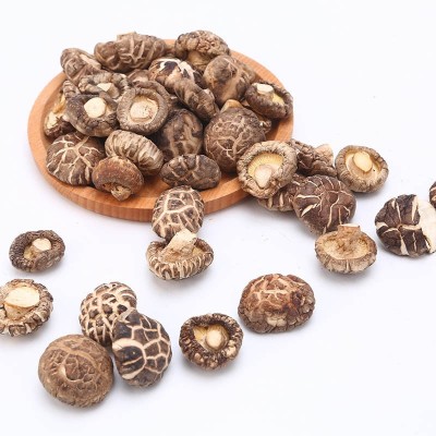 新货2-3-5cm花菇干货500g 西峡香菇干食用菌椴木蘑菇批发图5