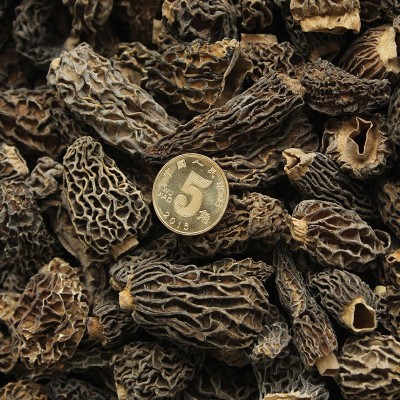 山礼然云南羊肚菌干货 批发汤料食用菌羊肚菌菇整菇 全剪柄羊肚菌图3