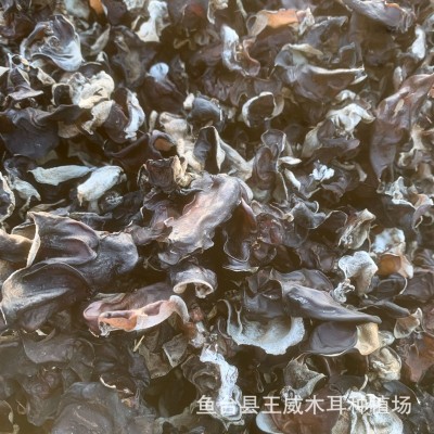 白背木耳小木耳水洗去沙无渣干度好规格多选山东小木耳白背木耳图3