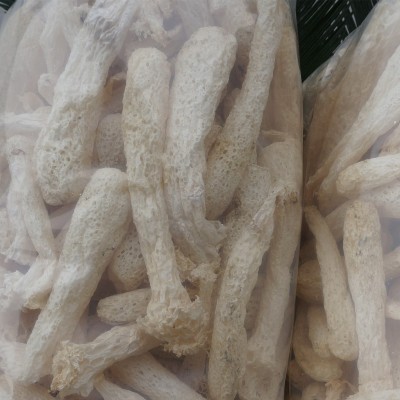 冠发 古田特产竹荪杆子500g礼袋干货竹笙管无熏硫食用菌批发直销图2