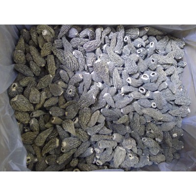 云南羊肚菌 柄羊肚菌干货 干羊肚菌 产地直供 250g/袋图3