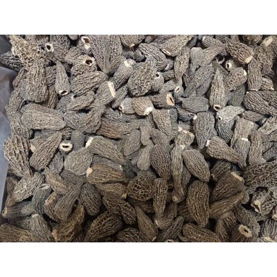 云南羊肚菌 柄羊肚菌干货 干羊肚菌 产地直供 250g/袋图2