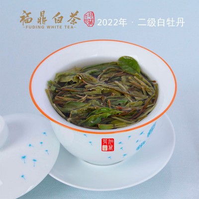 福鼎厂家直销福 鼎 白茶磻溪高山二级白牡丹茶叶500g批发图3