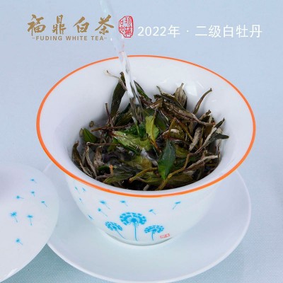 福鼎厂家直销福 鼎 白茶磻溪高山二级白牡丹茶叶500g批发图5