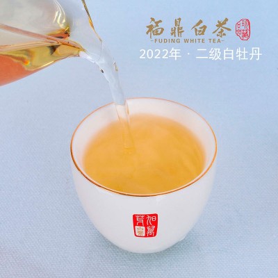 福鼎厂家直销福 鼎 白茶磻溪高山二级白牡丹茶叶500g批发图4