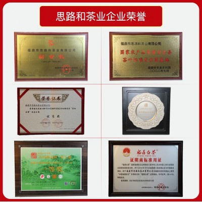 福鼎白茶老寿眉茶叶便携白茶礼盒装小方片饼干管阳 实力厂家图2