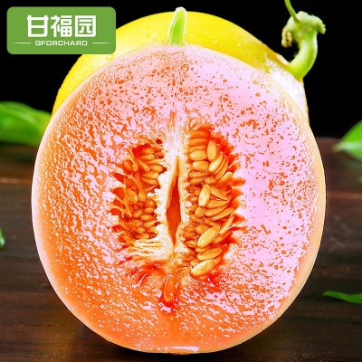 冰淇淋民勤黄河蜜甜瓜9斤新鲜水果整箱包邮当季香瓜蜜瓜哈密脆瓜5图5