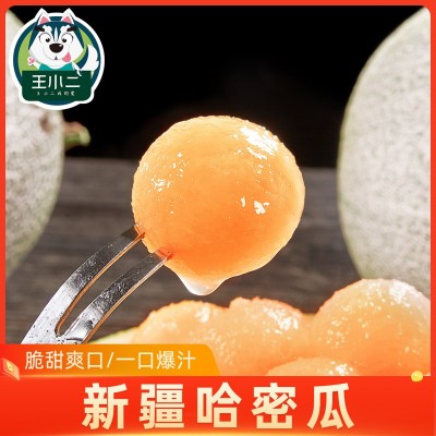新疆吐鲁番哈密瓜当季新鲜水果整箱包邮现摘网纹瓜脆甜蜜瓜西州10图2