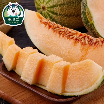 新疆吐鲁番哈密瓜当季新鲜水果整箱包邮现摘网纹瓜脆甜蜜瓜西州10图5