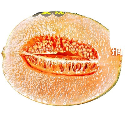 正宗哈密瓜9斤当季新鲜水果一整箱包邮现摘网纹瓜香蜜瓜10西州疆图3