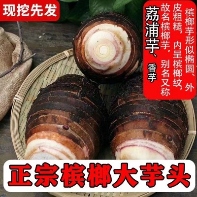 广西荔浦槟榔芋香芋头粉糯香商现挖新鲜特产芋头出口东南亚缅甸图2