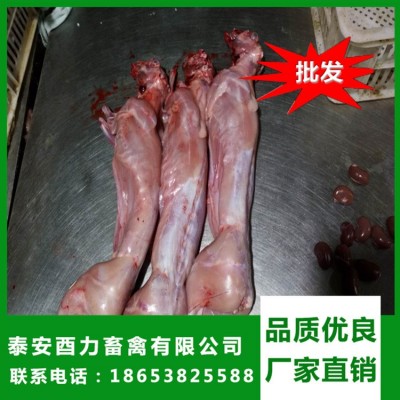 大量供应新鲜冷冻兔肉兔白条 保鲜白条兔 批发冷冻白条兔图3