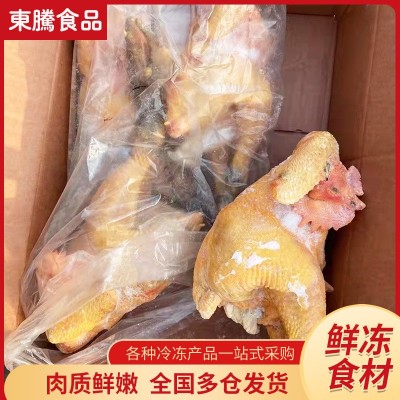 冷冻商用笨公鸡可批发 厂家供应散养笨公鸡 非腌制农家散养整鸡图3