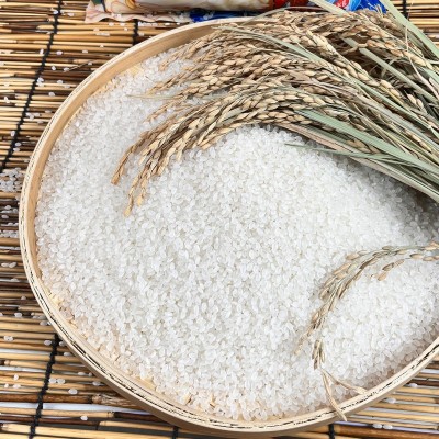 新米黑龙江特产珍珠米五常直发2.5kg5斤圆粒粥米现磨现发东北大米图2