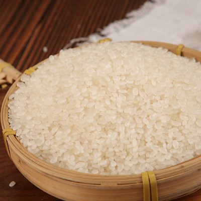 东北珍珠贡米50斤 寒地特产珍珠米25kg 现磨珍珠香米厂家批发图3