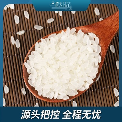 批发东北大米长粒香米5kg10斤 2023年新米黑龙江特产粳米可图2