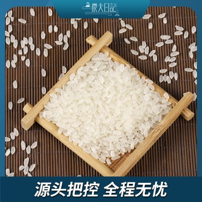 批发东北大米长粒香米5kg10斤 2023年新米黑龙江特产粳米可图4