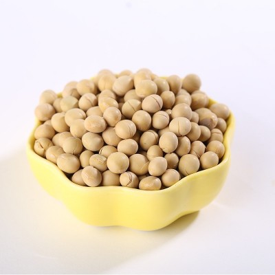 厂家批发熟黄豆 五谷杂粮豆浆磨粉原料 低温烘焙熟大豆图5