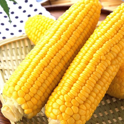 即食甜玉米 甜玉米穗 纳祺真空玉米棒 甜玉米穗图2