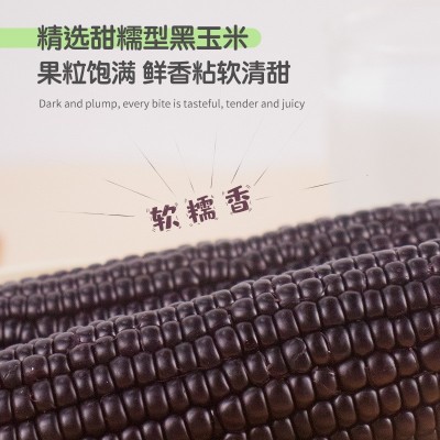 棒师傅东北玉米黑糯粗粮代餐好吃方便香甜早餐独立包装图2