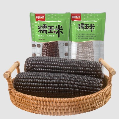 棒师傅东北玉米黑糯粗粮代餐好吃方便香甜早餐独立包装图5