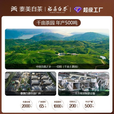 福鼎白茶五年陈老寿眉散茶批发磻溪原料散装枣香老白茶叶整箱图3