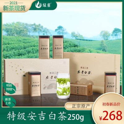 新茶250g正宗明前特级绿茶官方旗舰店官网礼盒装图2