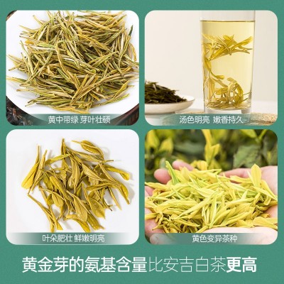 新茶明前特级白茶250g官方旗舰店官网礼盒装图3
