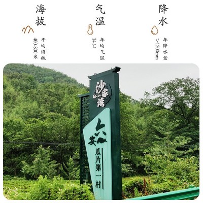 春新茶手工雨前一级散装浓香50g袋装图2
