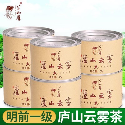 厂家庐山云雾茶绿茶明前新茶清香型茶叶高山春茶绿茶罐装批发图2