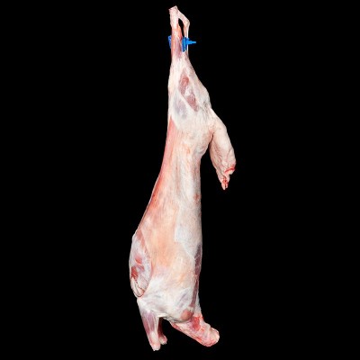 宁夏津玖羊盐池滩羊密齿羔羊肉白条全羊肉整只烧烤食材生羊肉批发图2