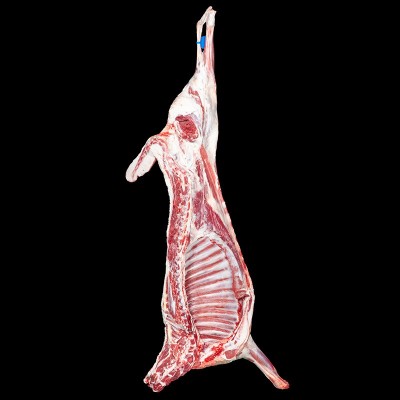 宁夏津玖羊盐池滩羊密齿羔羊肉白条全羊肉整只烧烤食材生羊肉批发图3