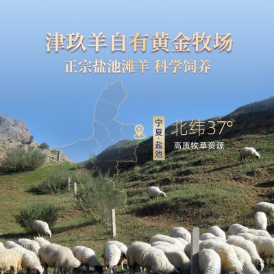 宁夏盐池滩羊肉银钻家庭装红柳枝羊肉串带骨羊前腿羊蝎子整半只羊图3