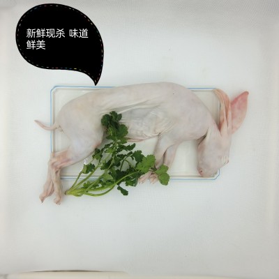 带皮兔 烫皮兔 厂家直销图2