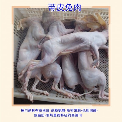 带皮兔 烫皮兔 厂家直销图3