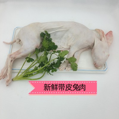 带皮兔 烫皮兔 厂家直销图5