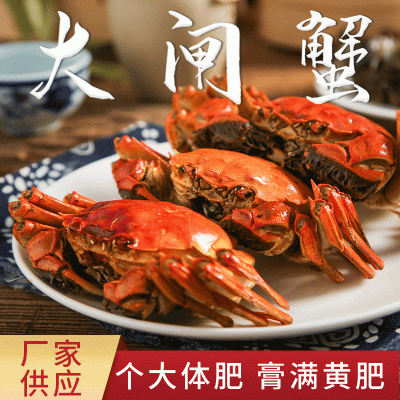 现货散称鲜活大闸蟹 江苏湖北洪湖螃蟹团购河蟹批发 清水大闸蟹图3
