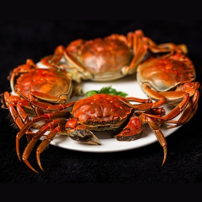 现货散称鲜活大闸蟹 江苏湖北洪湖螃蟹团购河蟹批发 清水大闸蟹图2