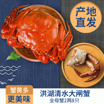 大闸蟹鲜活 全母2两8只装大闸蟹湖北洪湖清水现货 满膏螃蟹图2