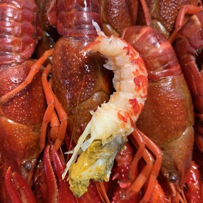 湖北小龙虾 液氮速冻批发整支原味鲜活冷冻深水虾 速冻清水小龙虾图2