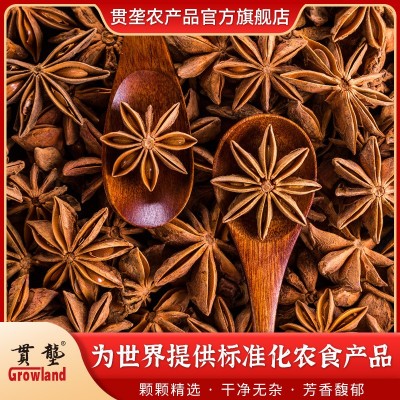 贯垄不带柄八角Star Anise新货无硫大料大茴香卤肉火锅调味料佐料图4