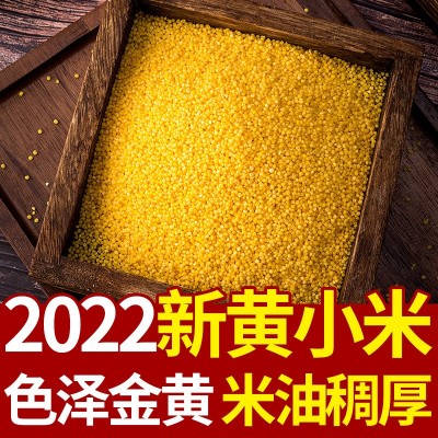 汾都香小米山西黄小米新米批发软糯小米油小米煮粥图3