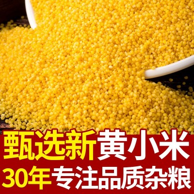 汾都香小米山西黄小米新米批发软糯小米油小米煮粥图2