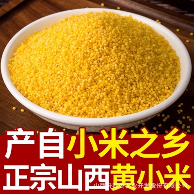 汾都香小米山西黄小米新米批发软糯小米油小米煮粥图5
