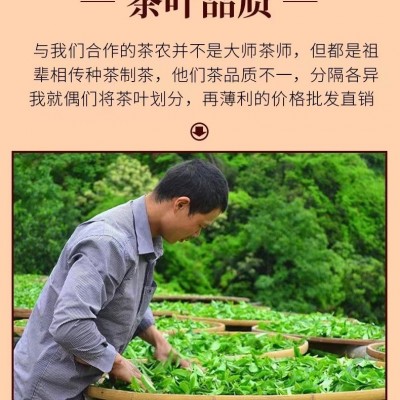 福建安溪铁观音春茶浓香型乌龙茶新茶茶叶散批送人自己喝送礼批发图2