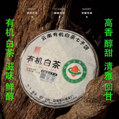 批发 云南白茶 2023年头春有机白茶贡眉月光白香气四溢醇香鲜爽图1