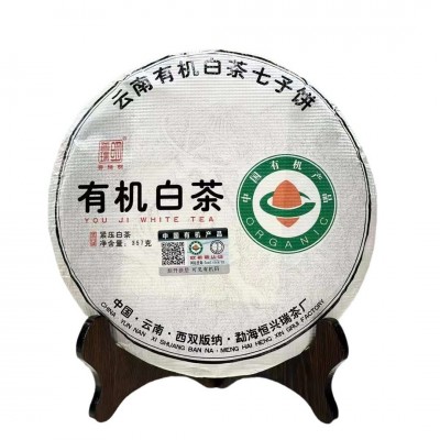 批发 云南白茶 2023年头春有机白茶贡眉月光白香气四溢醇香鲜爽图4