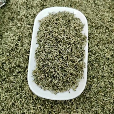 都匀毛尖绿茶2025新茶 明前特级浓香型高山云雾散装贵州茶叶批发图3